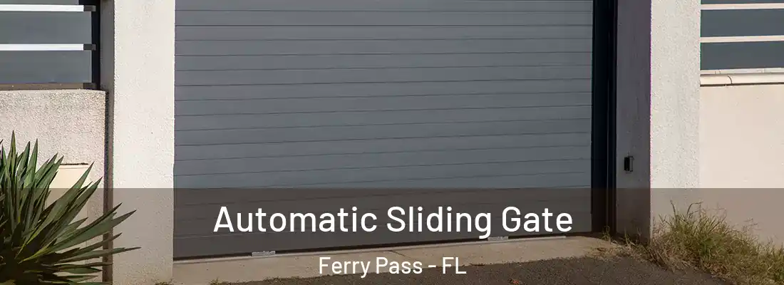  Automatic Sliding Gate Ferry Pass - FL