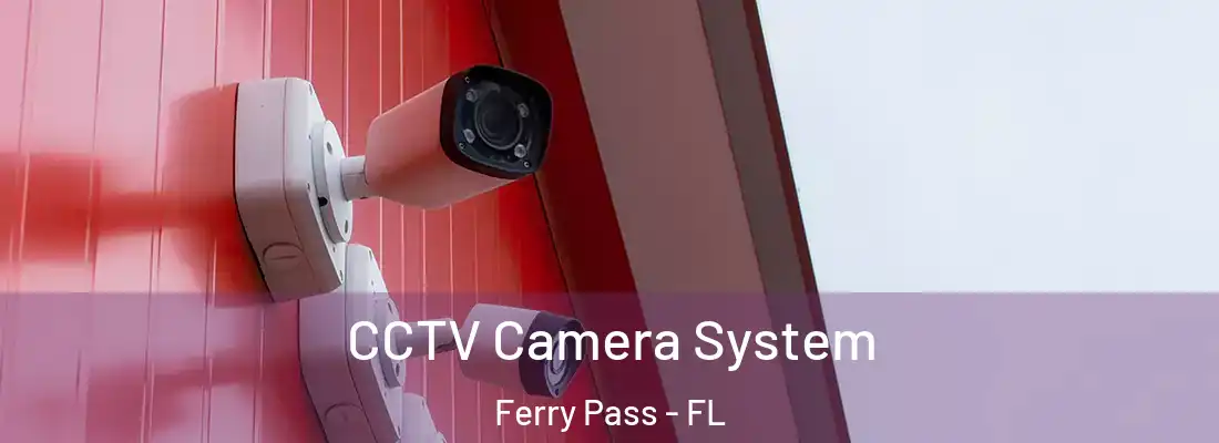 CCTV Camera System Ferry Pass - FL