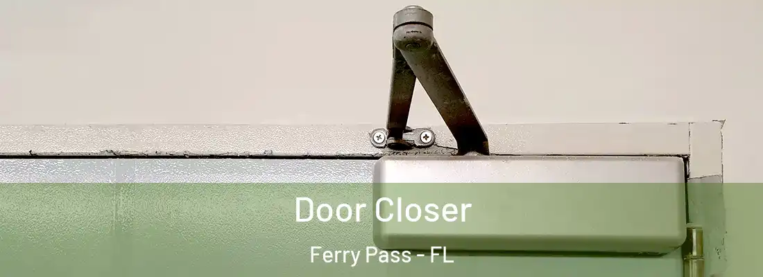 Door Closer Ferry Pass - FL