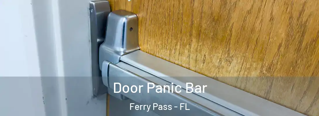 Door Panic Bar Ferry Pass - FL