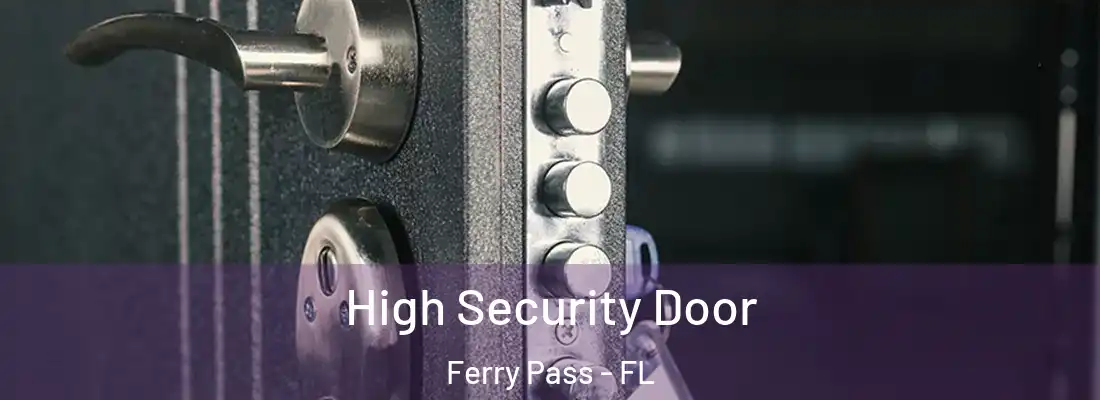  High Security Door Ferry Pass - FL