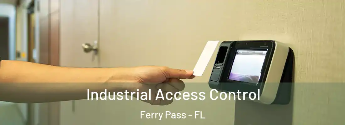 Industrial Access Control Ferry Pass - FL