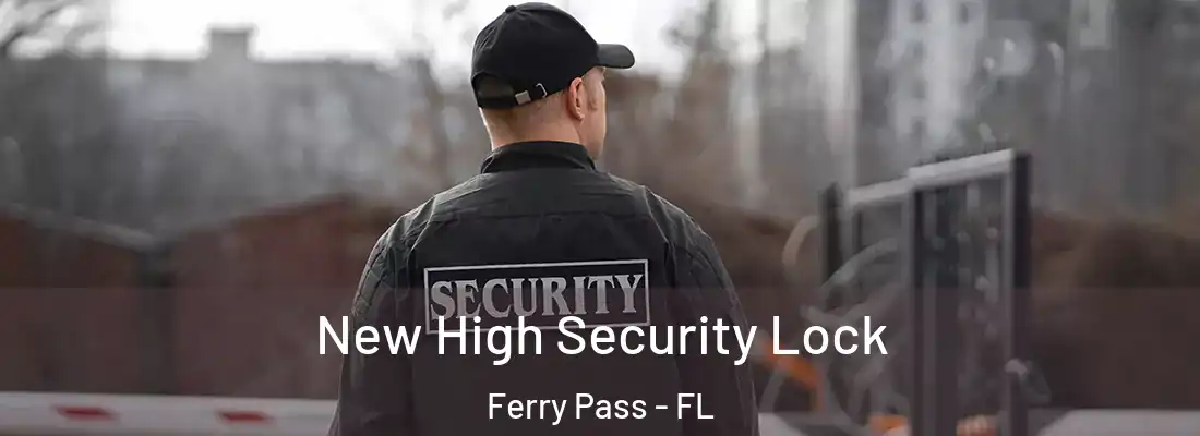 New High Security Lock Ferry Pass - FL
