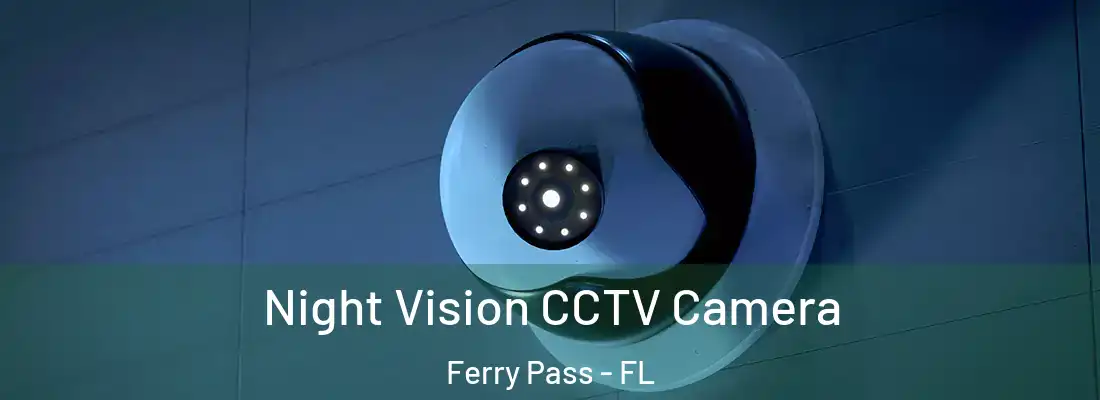  Night Vision CCTV Camera Ferry Pass - FL