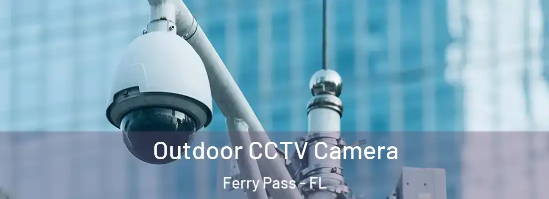  Outdoor CCTV Camera Ferry Pass - FL