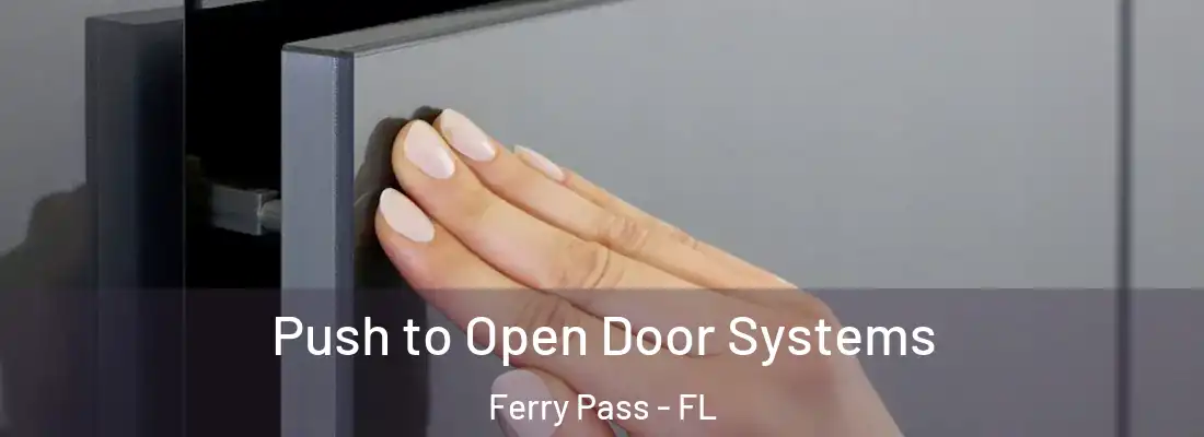 Push to Open Door Systems Ferry Pass - FL