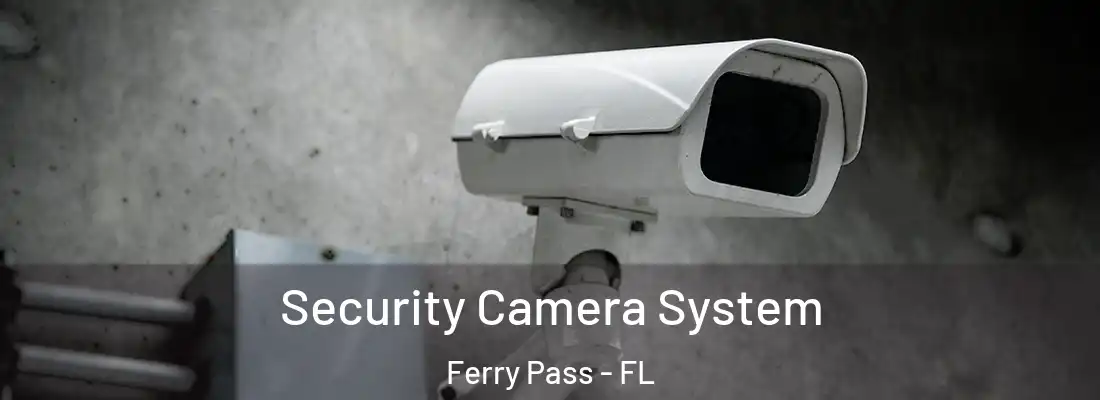  Security Camera System Ferry Pass - FL