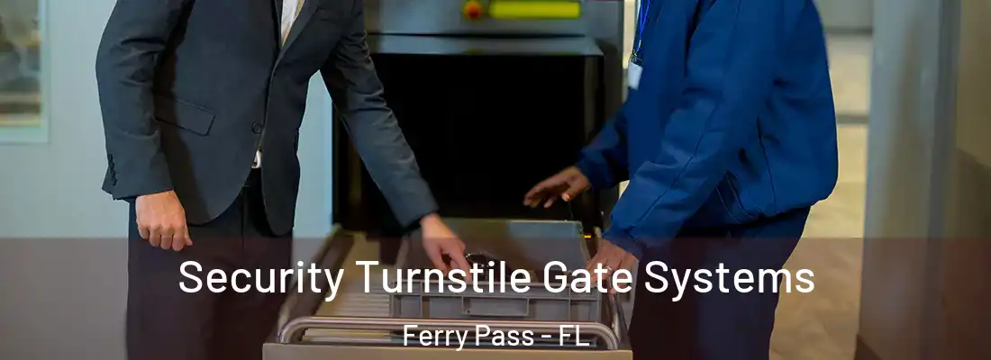Security Turnstile Gate Systems Ferry Pass - FL