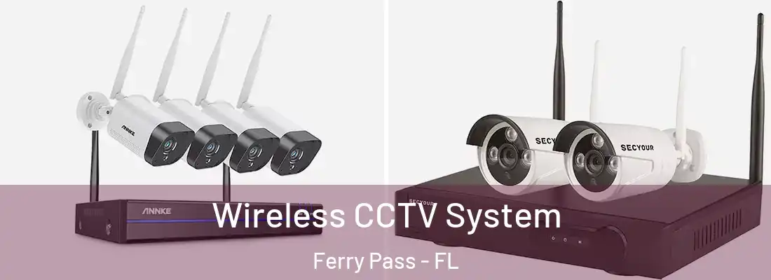 Wireless CCTV System Ferry Pass - FL